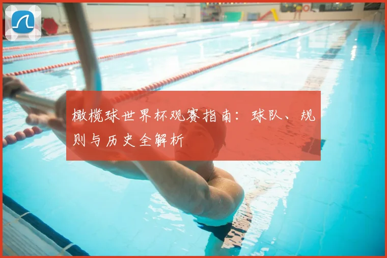 橄榄球世界杯观赛指南:球队、规则与历史全解析